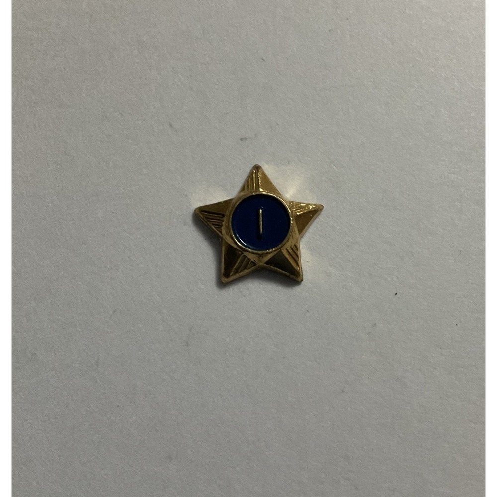 Vintage Boy Scouts of America BSA 1 Year of Service Blue Star Pin Award Pinback
